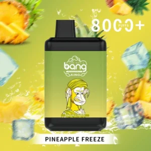 Bang King 8000 Puffs 0% 2% 3% 5% Vente en gros de vape jetable à la nicotine - CharmVape - 20