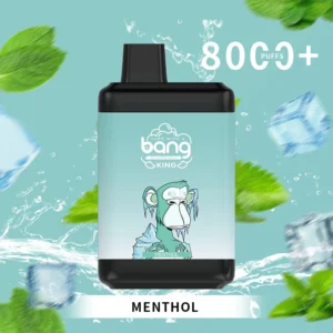 Bang King 8000 Puffs 0% 2% 3% 5% Vente en gros de vape jetable à la nicotine - CharmVape - 18