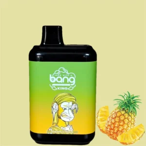 Bang King 8000 Puffs 0% 2% 3% 5% Vente en gros de vape jetable à la nicotine - CharmVape - 19