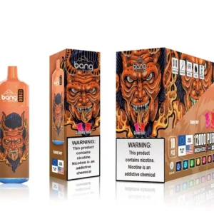 Bang Box 12000 Puffs 0% 2% 3% 5% Nikotino įkraunamas vienkartinis Vape Didmeninė prekyba – CharmVape – 16