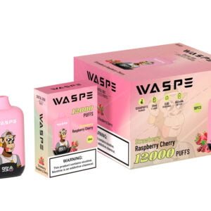 Scatola digitale WASPE 12000 PUFFS 0% 2% 3% 5% Vape monouso alla nicotina all'ingrosso - CharmVape - 12