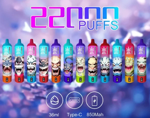 Bang Beach 22000 Puffs 0% 2% 3% 5% Vähänikotiini ladattava Bulk Osta Kertakäyttöinen Vape Pen Tukkumyynti - CharmVape - 1