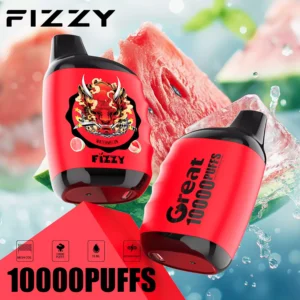 Fizzy Great 10000 Puffs 2% 5% Vähä Nikotiini Ladattava Kertakäyttöinen Vapes Pen Bulk Tukkumyynti - CharmVape - 8